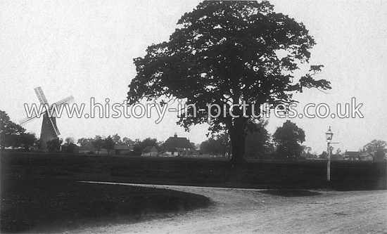 The Mill and Village, Hatfield Heath, Essex. c.1904